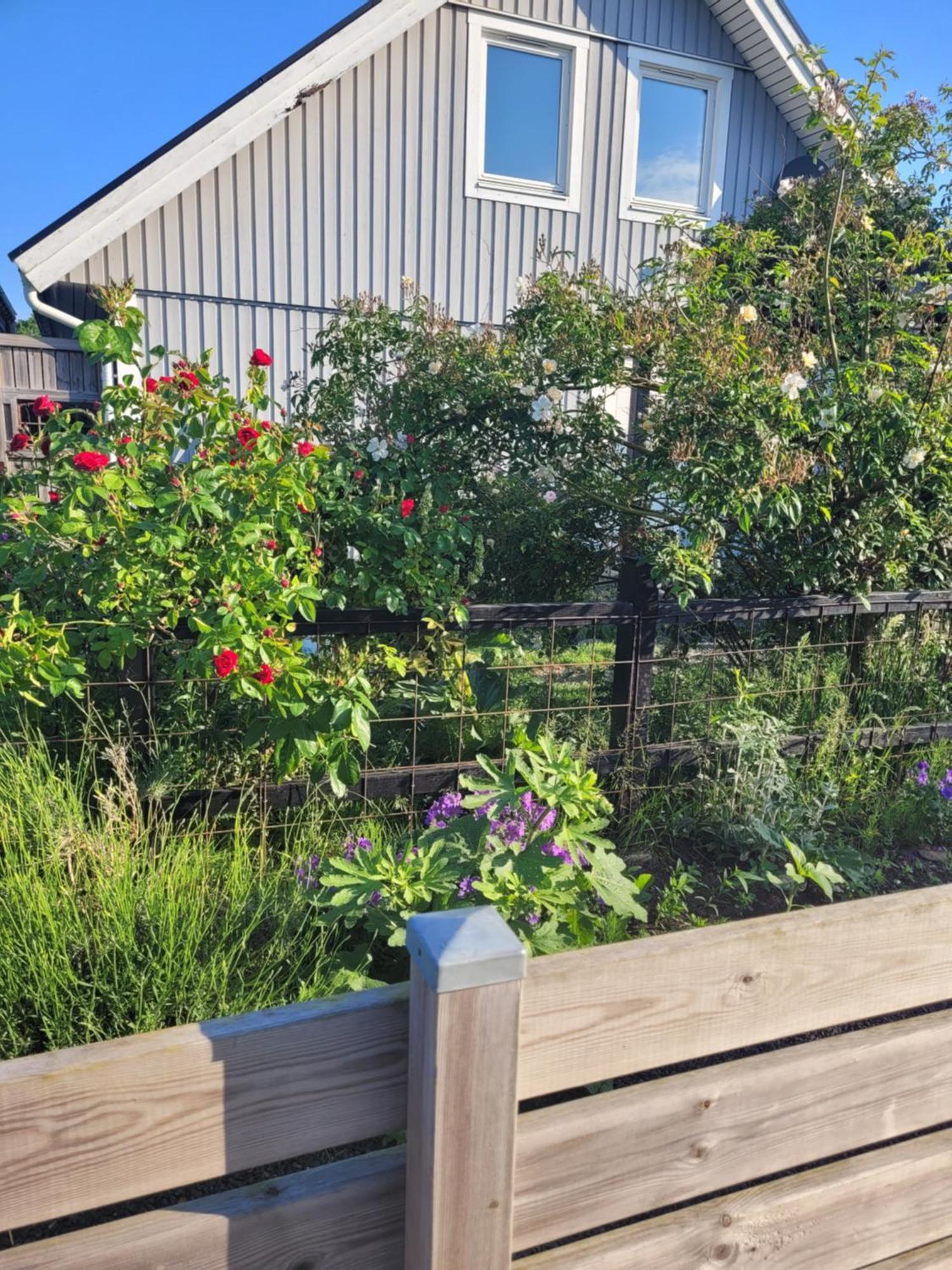 Helgas Stuga I Jonstorp Kültér fotó